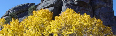 Aspens ablaze with color near Bath Rock granite formation